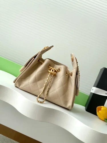 CHANEL 25 Mini Handbag AS5631 photo review
